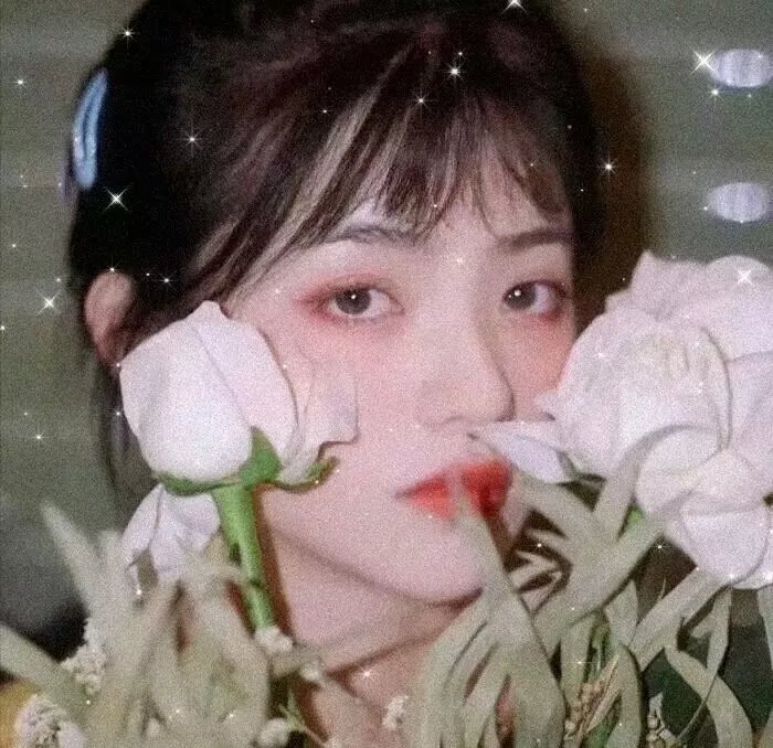 她们,他们